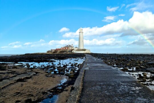 Saint Mary's basketball - Photo by Howard Senton