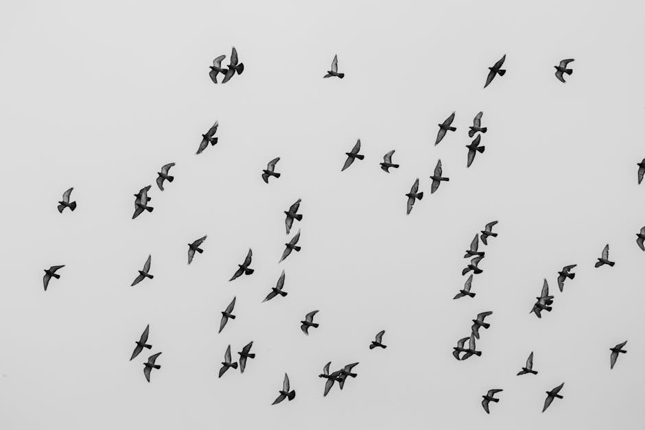 Stockholm flights - Photo by Efrem  Efre