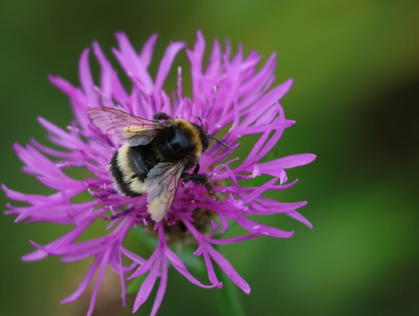 Stockholm flights - Photo by Stefan Vennberg